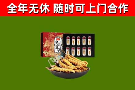 精河县烟酒回收冬虫夏草礼盒.jpg
