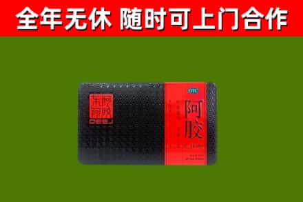 精河县回收阿胶